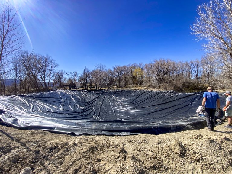 Pond digging and Cleanout